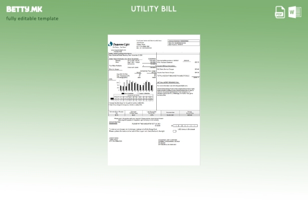 Модерен стил на САД Пенсилванија Duquesne Light Шаблон за комунални сметки